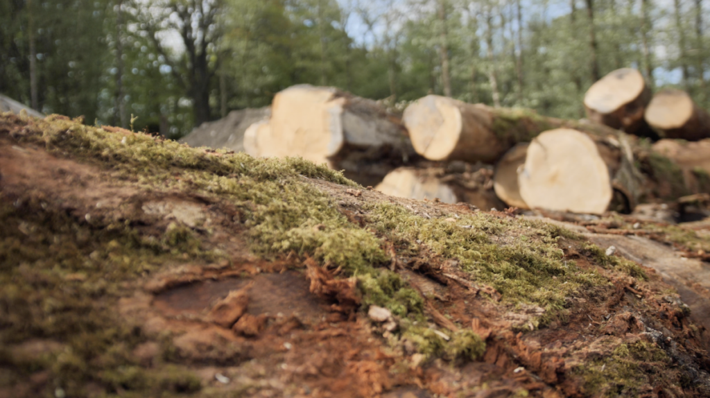 devon wood stacked