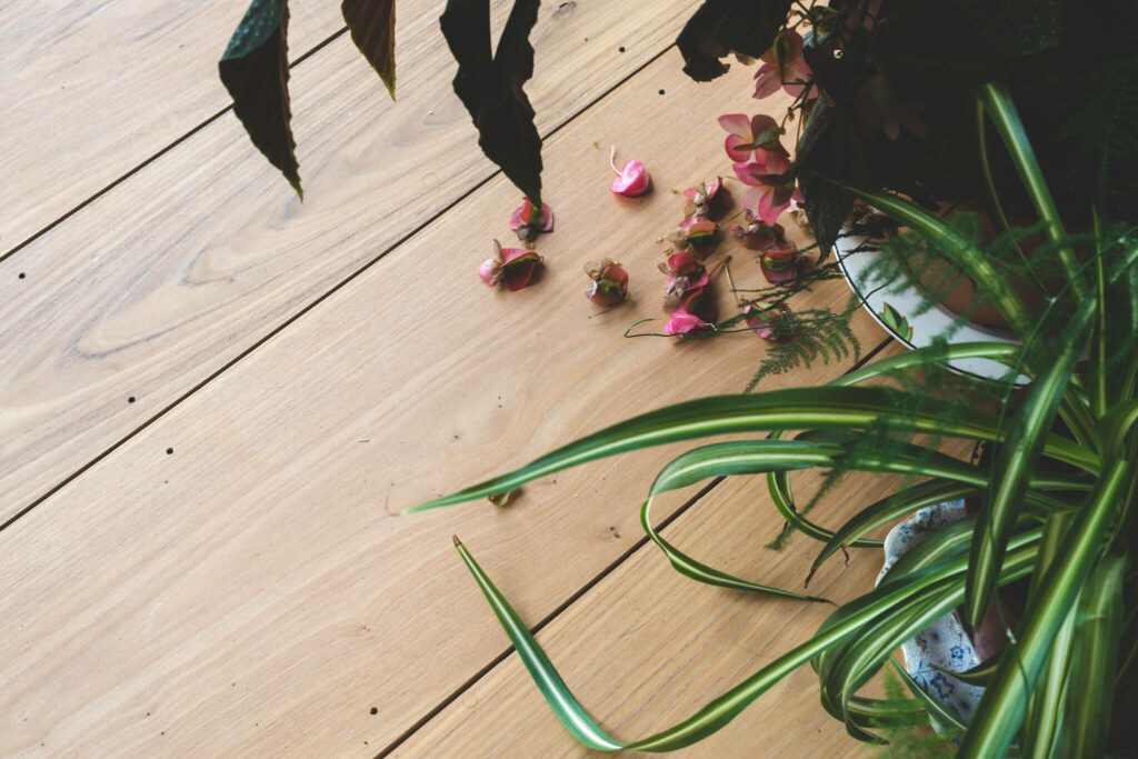 chestnut flooring