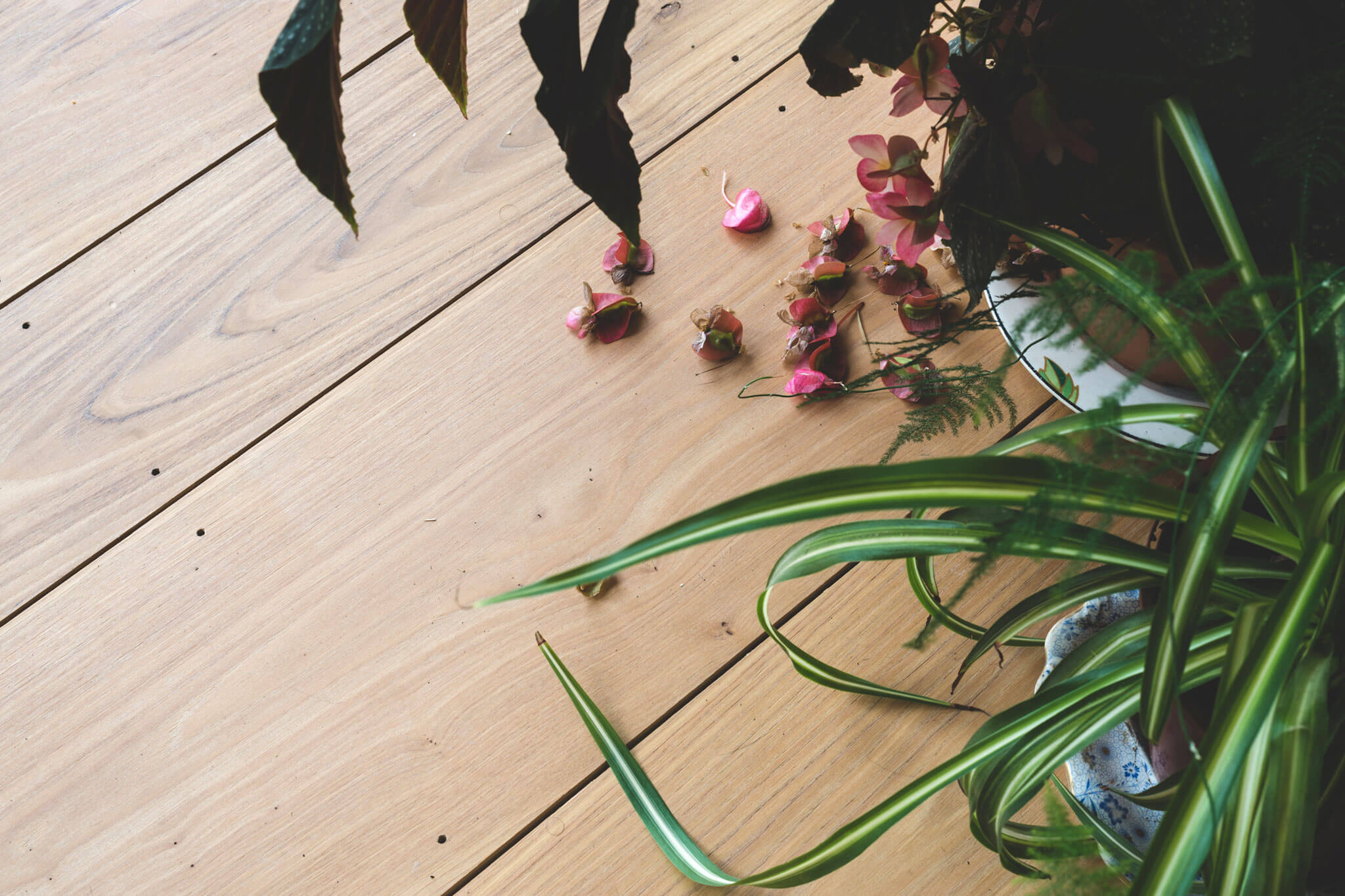 chestnut flooring