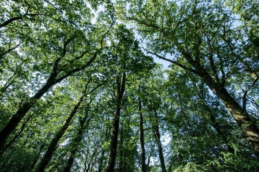 Our branches