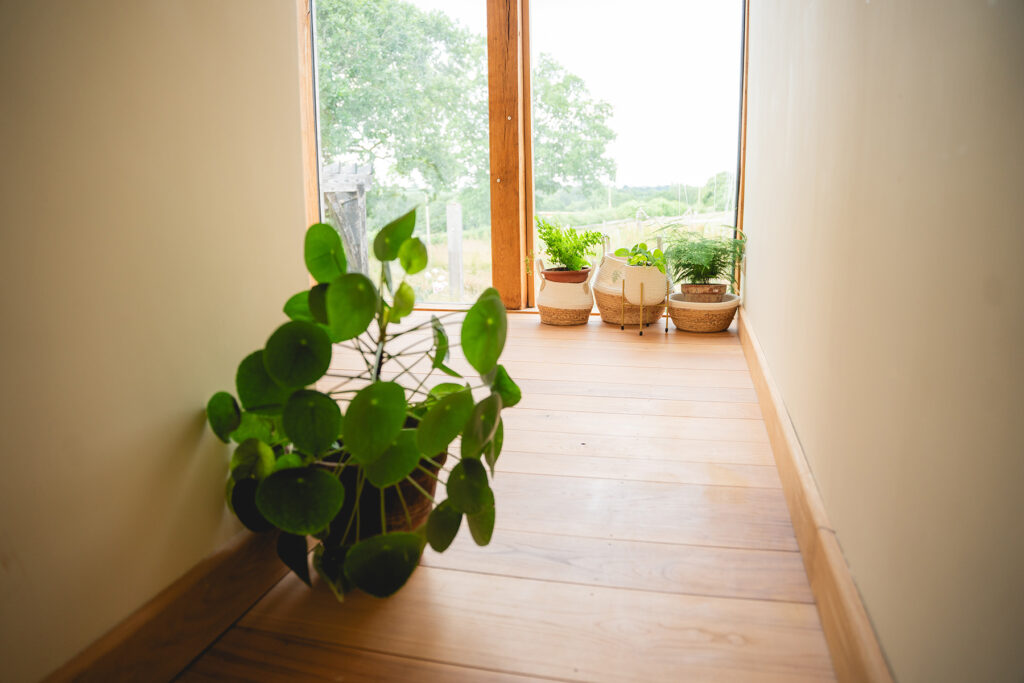 chestnut wood flooring