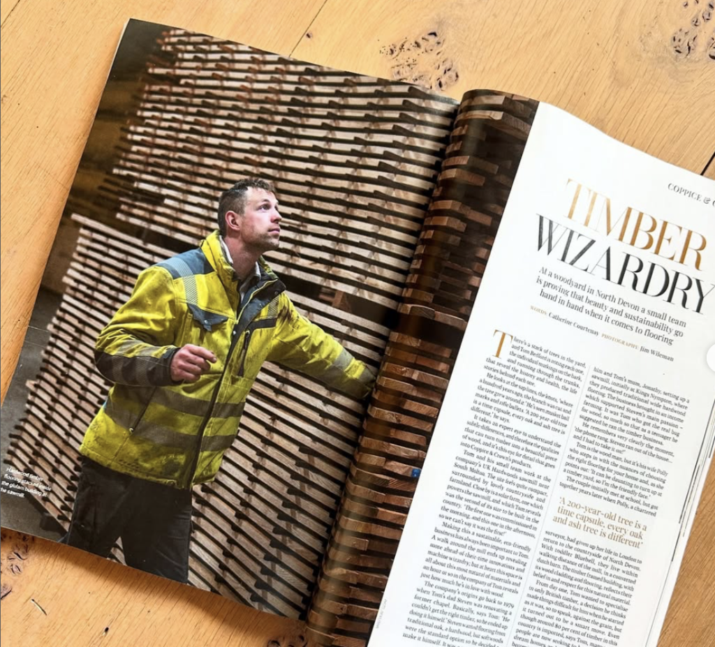 timber wizardry